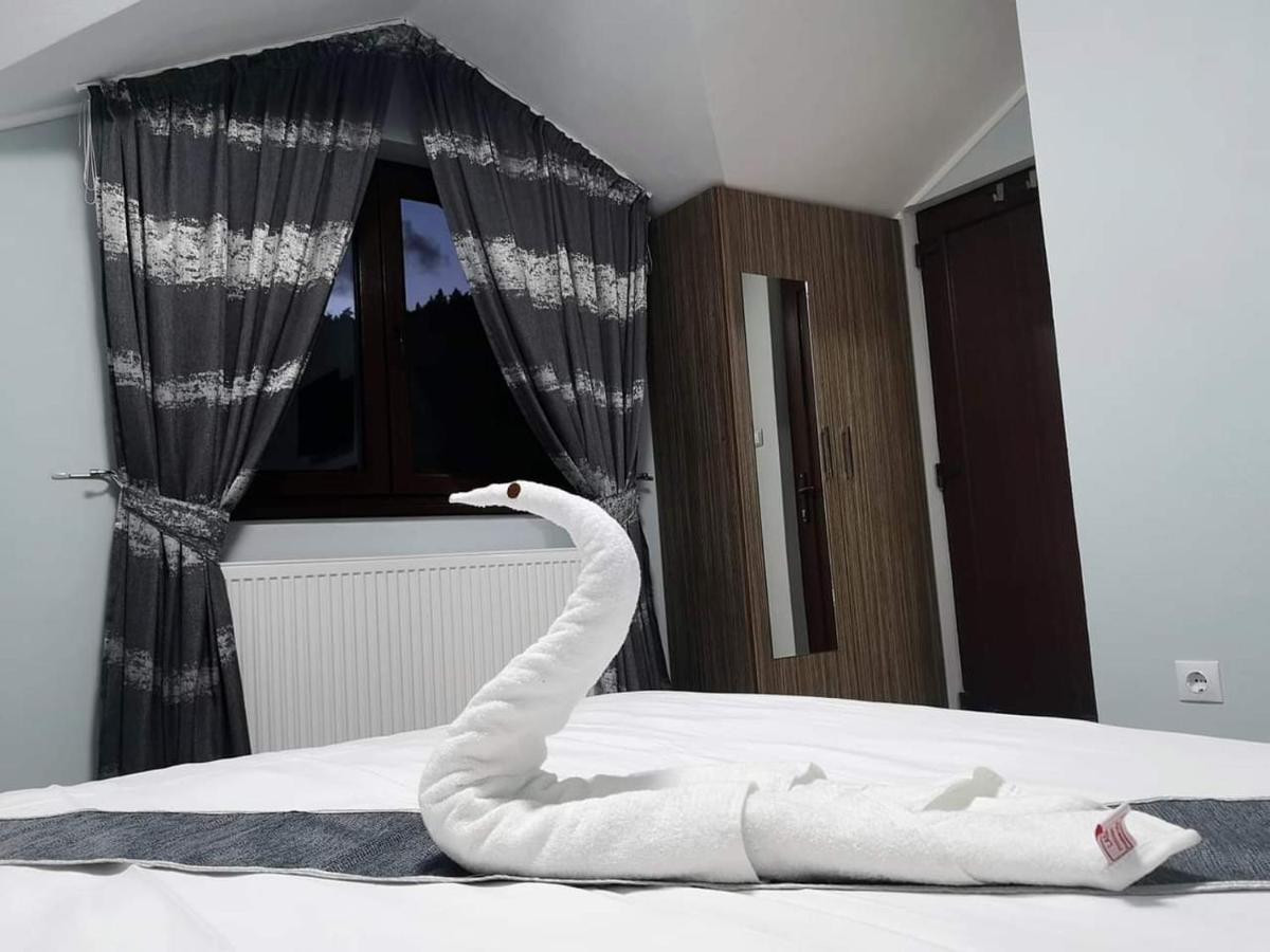 Casa Cizi Hotel Călimăneşti Buitenkant foto
