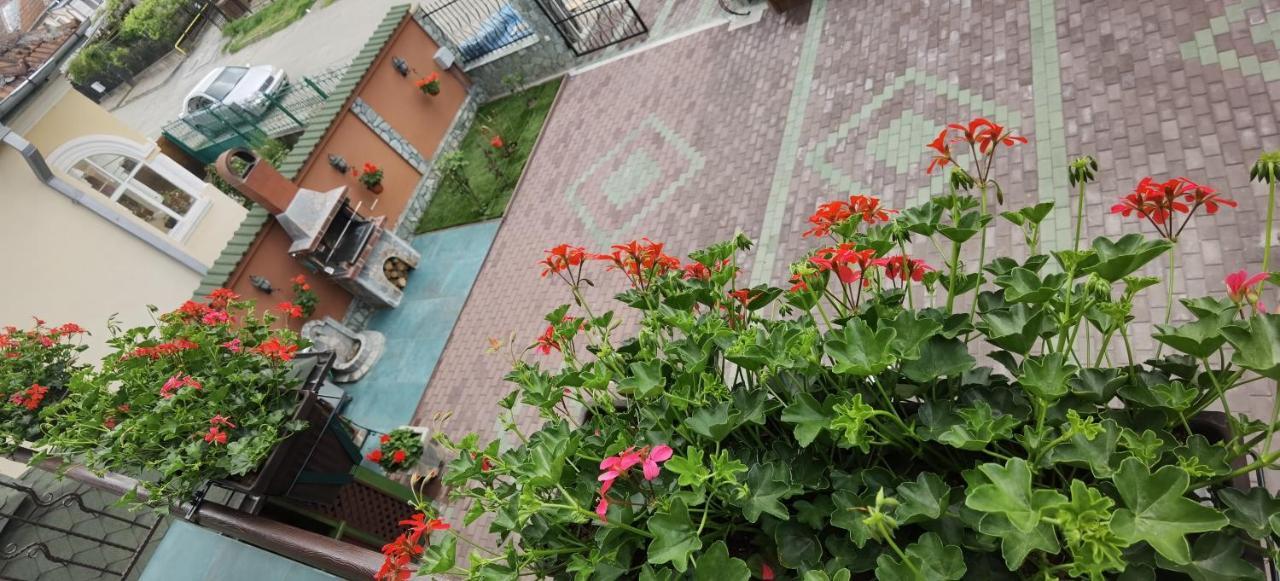 Casa Cizi Hotel Călimăneşti Buitenkant foto