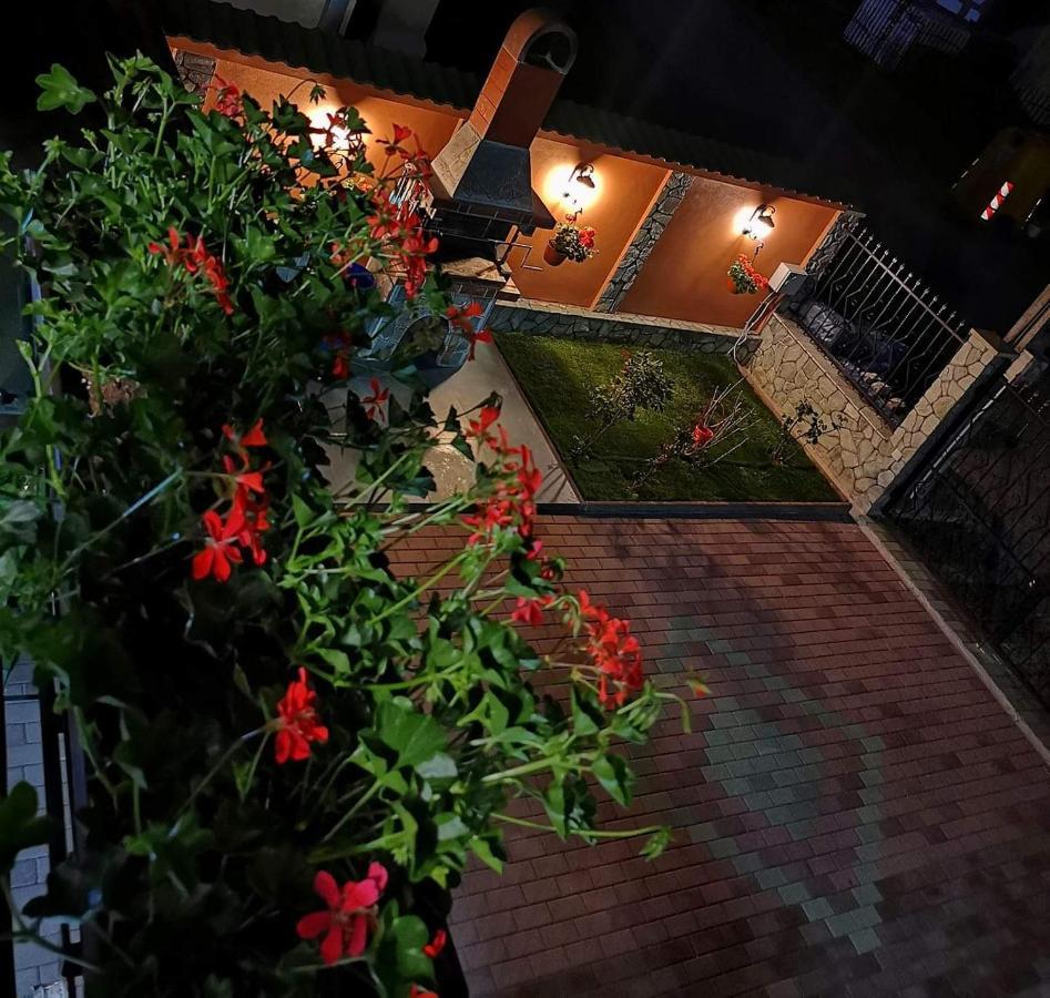 Casa Cizi Hotel Călimăneşti Buitenkant foto
