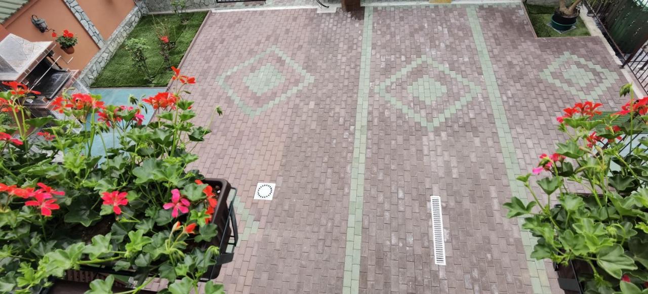 Casa Cizi Hotel Călimăneşti Buitenkant foto