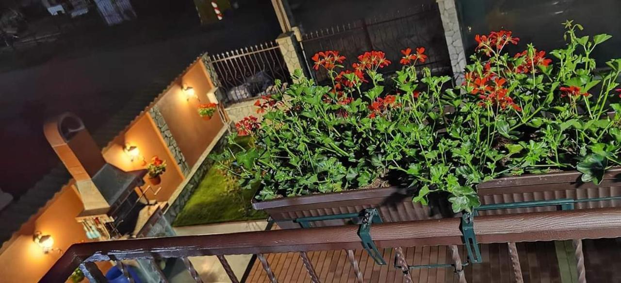 Casa Cizi Hotel Călimăneşti Buitenkant foto