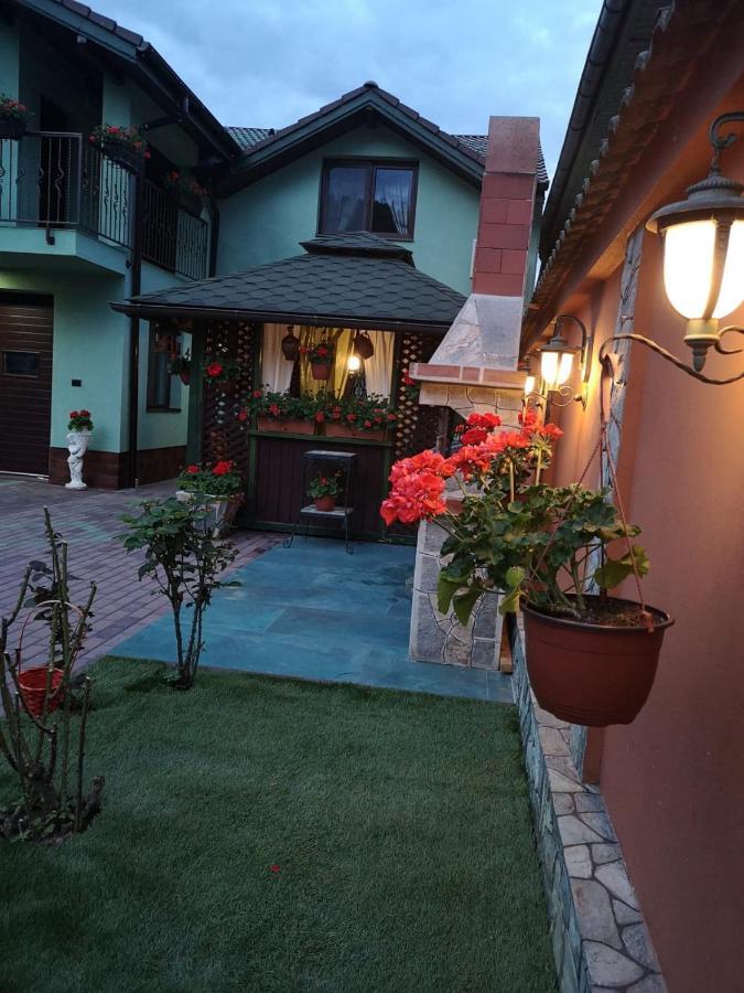 Casa Cizi Hotel Călimăneşti Buitenkant foto