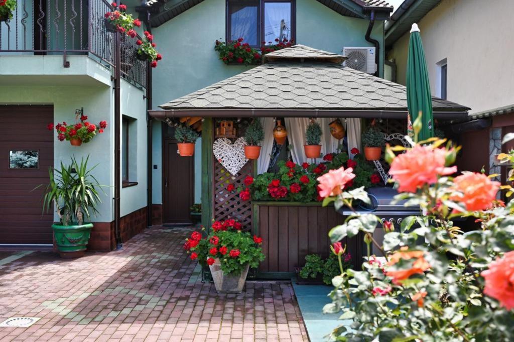 Casa Cizi Hotel Călimăneşti Buitenkant foto