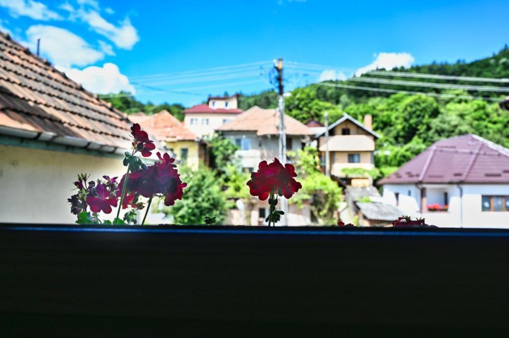 Casa Cizi Hotel Călimăneşti Buitenkant foto